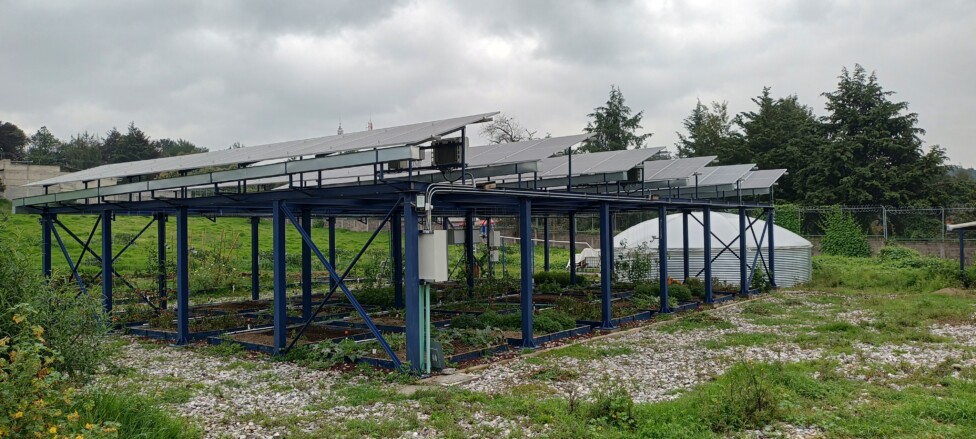 PASE Agrivoltaics project in Mexico City